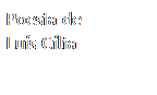 Caixa de texto: Poesia de
Luís Cília