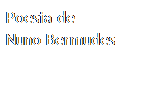 Caixa de texto: Poesia de
Nuno Bermudes

