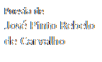 Caixa de texto: Poesia de
Jos� Pinto Rebelo
de Carvalho
