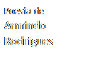 Caixa de texto: Poesia de
Armindo Rodrigues
